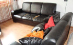 Predam sedaciu supravu zn. Ipek – fotka 4